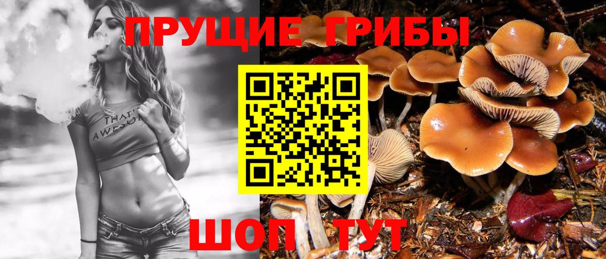Псилоцибиновые грибы Magic Shrooms  как найти   Златоуст  Вход с VPN 