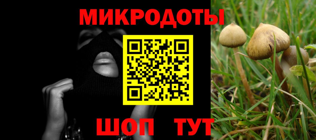 Галлюциногенные грибы Magic Shrooms Златоуст